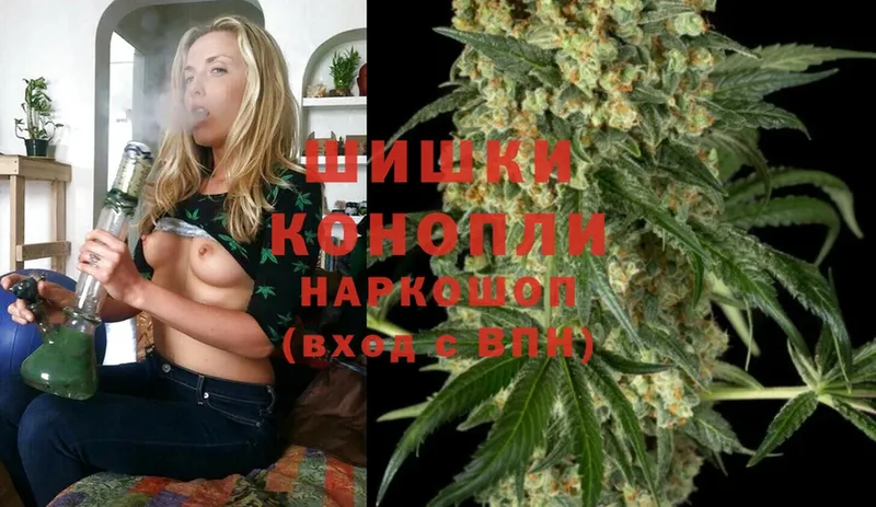 купить наркотики сайты  blacksprut зеркало  Каннабис SATIVA & INDICA  Котлас 